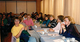 Horft yfir salinn á Lýsuhóli